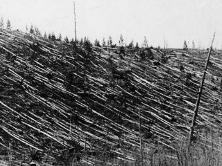 Tunguska nedir?