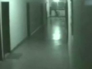 Kameralara yansıyan gizemli yaratık!