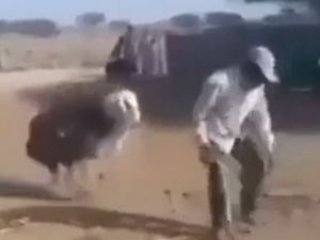 Keçiyi dövmenin sonu!