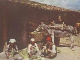 ABD arşivinden Osmanlı fotoğrafları