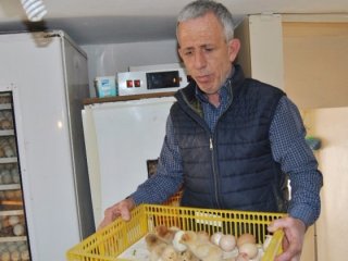 Hurdacıdan aldı bakın ne yaptı!