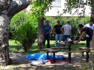 Bunun adı vahşet!