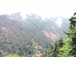 Düşen helikoptere ilk ulaşan vatandaş o anları anlattı