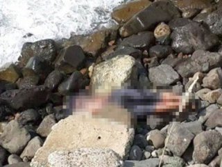 Kartal sahilde ceset bulundu