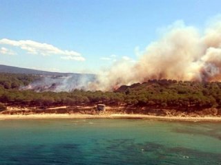 Çanakkale'de orman yangını