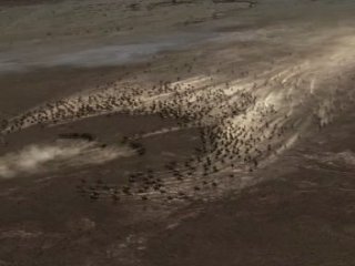 Türkler bu kıtadan mı geliyor?