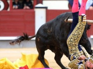 Boğa, matadoru öldürdü
