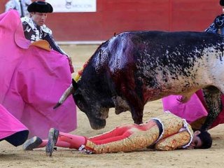 Boğa matadoru öldürdü