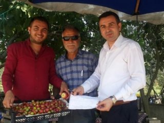 Hamile eşi için meyve alıp ağaca para asan adam bahçe sahibiyle helalleşti