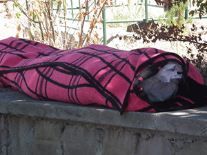 3 polisi şehit etti, cenazesini cemaat istemedi!