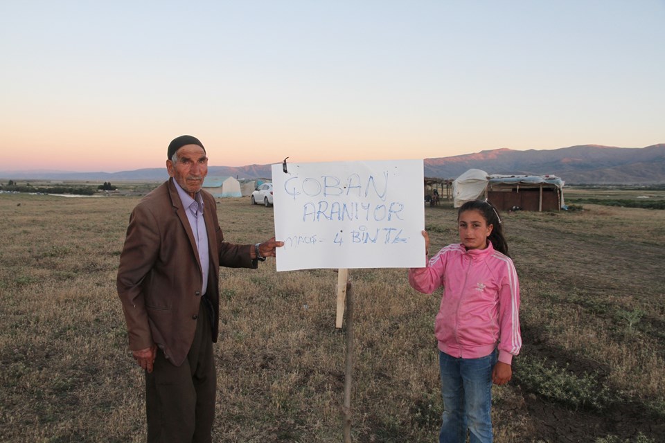 4 bin TL ücretle çalışacak çoban bulamıyorlar