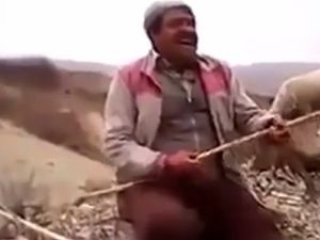 Çobanın mutluluğu görmeye değer!