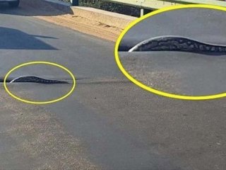 Kimse böyle bir şey beklemiyordu