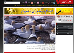 "Helal YouTube" yayında