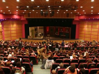 Şehir Tiyatroları'a FETÖ operasyonu