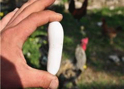 Bu yumurta şaşırtıyor