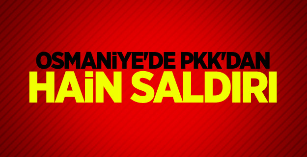 Osmaniye'de PKK'dan hain saldırı