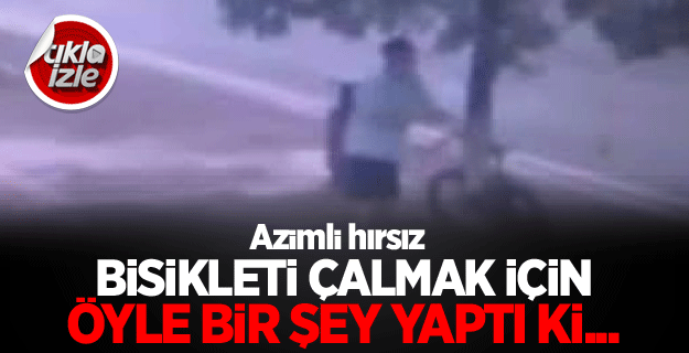 Ağacı kesip bisikleti çaldı