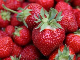 Çileğin faydaları