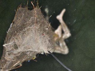 Sulama kanalından ceset çıktı