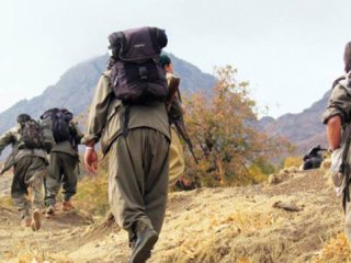 Bingöl'de teröristler ev basıp vatandaşı kaçırdı