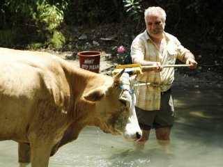 Ünlü yönetmen Ali Tokul tutuklandı