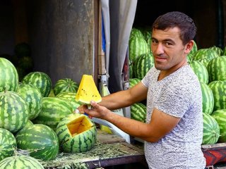 Sarı karpuz görenleri şaşırtıyor
