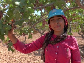 45 derecenin altında ekmek mücadelesi