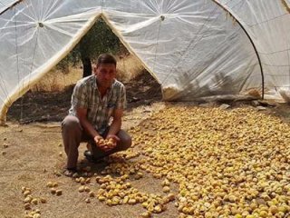 Aylık 5 bin TL maaşla işçi bulamıyorlar