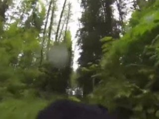 Köpeğine kamera takınca öyle bir keşifte bulundu ki...