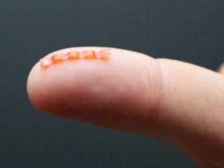 Dünyanın en tehlikeli tırtılı yapıldı!