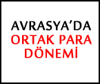 Avrasya'da tek para birimi ''Nanorubl''