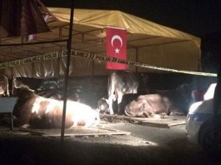 İzmir'de silahlı kavga: 3 ölü