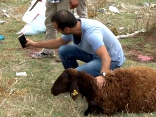 Vatandaşa kurbanlık uyarısı