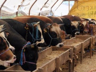 Bayram öncesi kritik uyarı!