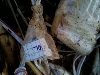 Mehdi Eker'in aile mezarlığında 640 kilo bomba bulundu