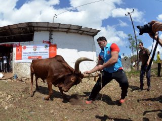 Erdoğan'ın Kurbanı'nı Kayaalp kesti