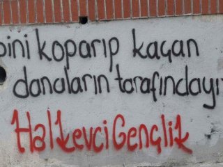 Halkevleri danaların yanında olmayı tercih etti