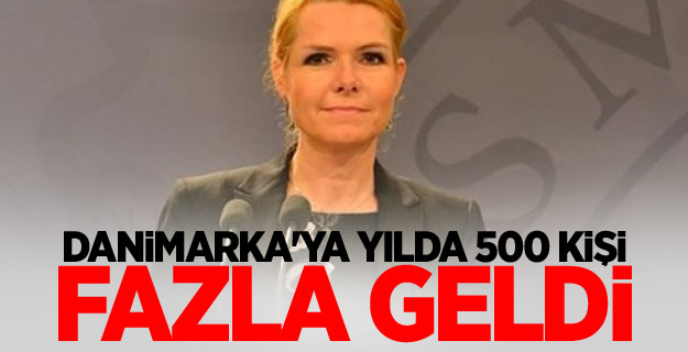 Danimarka'ya yılda 500 kişi fazla geldi