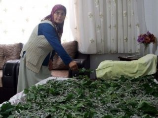 Aile bütçesine katkı sağlamak için bakın ne yetiştiriyor