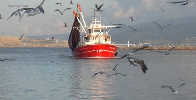 Tekneler balıkla döndü!