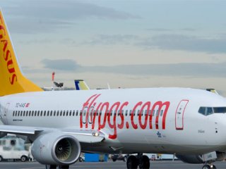 Hamile kadın uçakta doğurdu