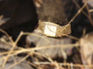 Gaziantep'te boş arazide çürümüş ceset bulundu