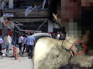 PKK'lı teröristin boynundan haç çıktı