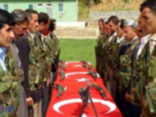 Siirt'teki operasyonda 2 korucu şehit oldu