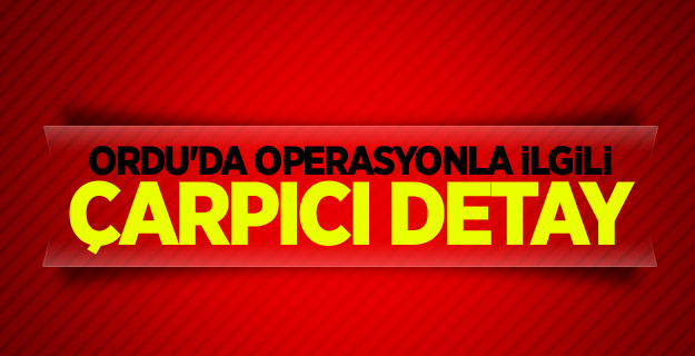 Ordu'da operasyonla ilgili çarpıcı detay