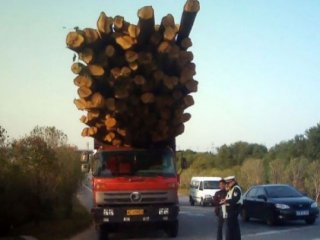 Taşımacılık sektörünün devrimcileri