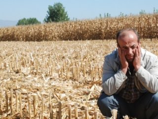 Tokat’ta pes dedirten hırsızlık!