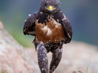 Karizması sosyal medyayı salladı