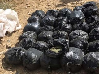 Tek seferde yakalanan en büyük bonzai miktarı!